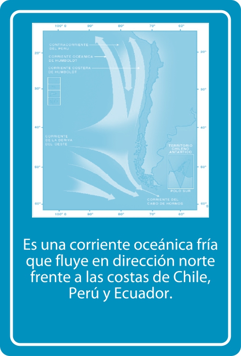 Portada Reverso